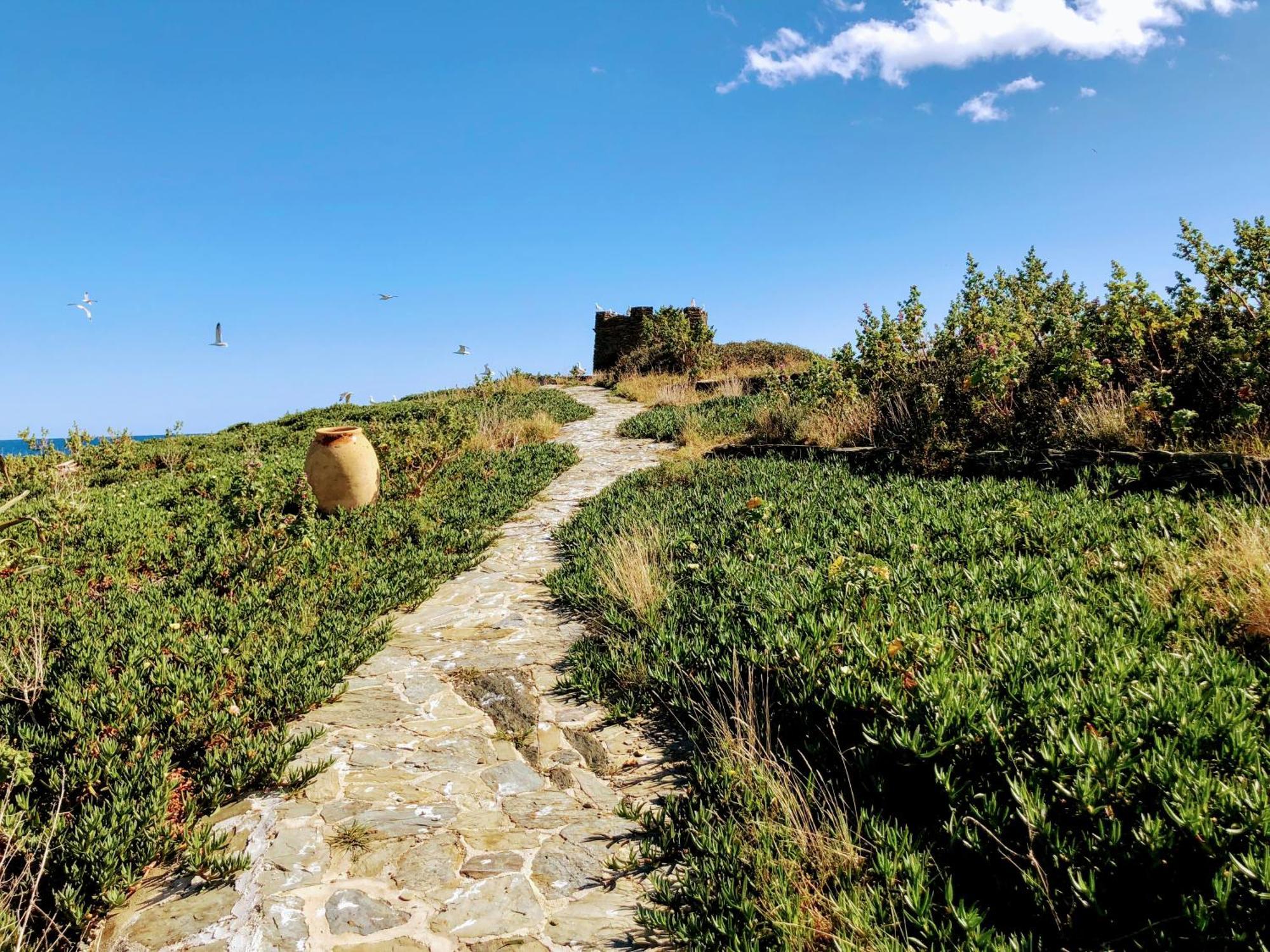 Isla Privada En Cadaques De Ensueno Con 11 Habitaciones Dobles Con Bano Privado Y Piscina Exteriör bild