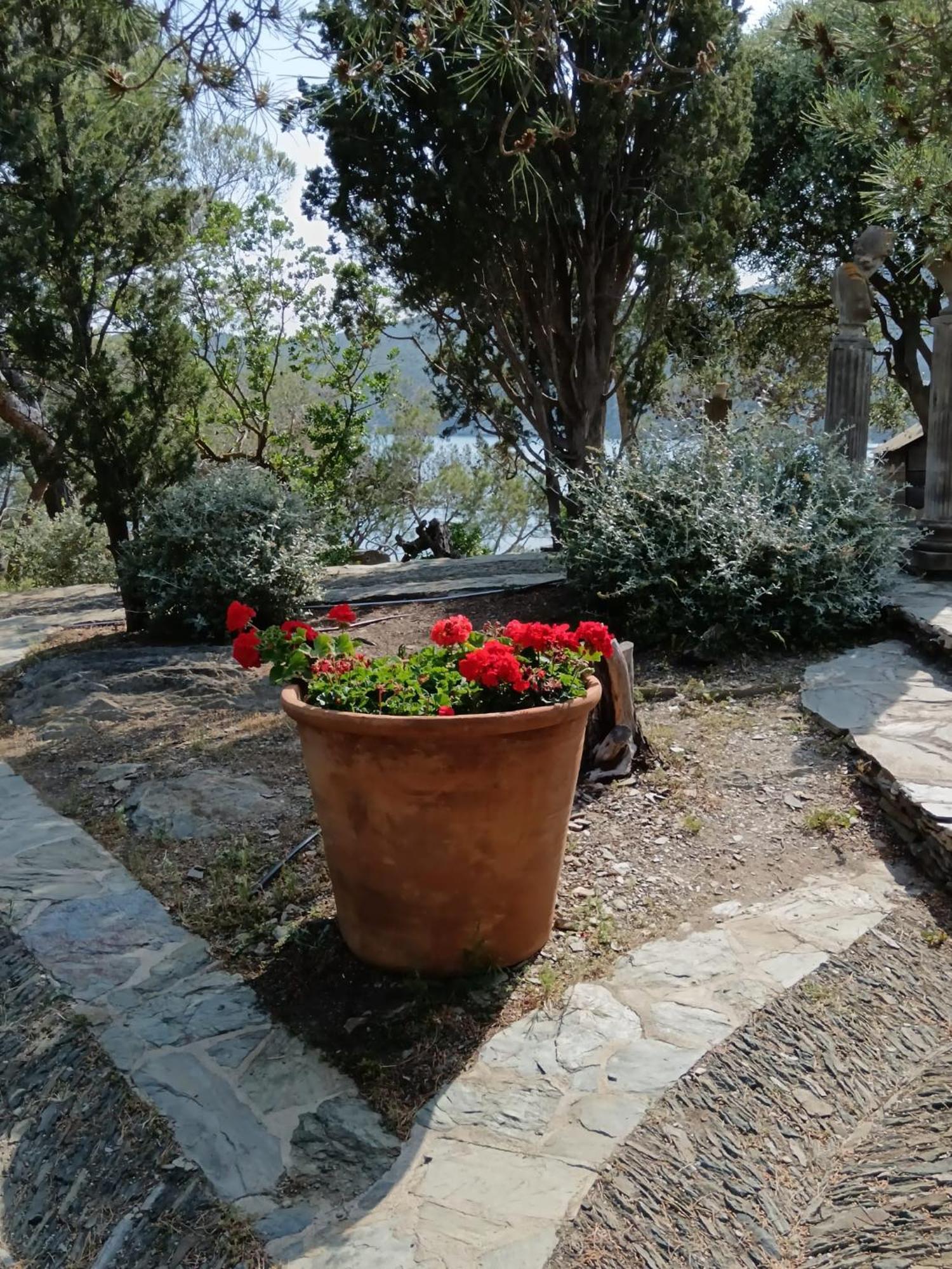 Isla Privada En Cadaques De Ensueno Con 11 Habitaciones Dobles Con Bano Privado Y Piscina Exteriör bild