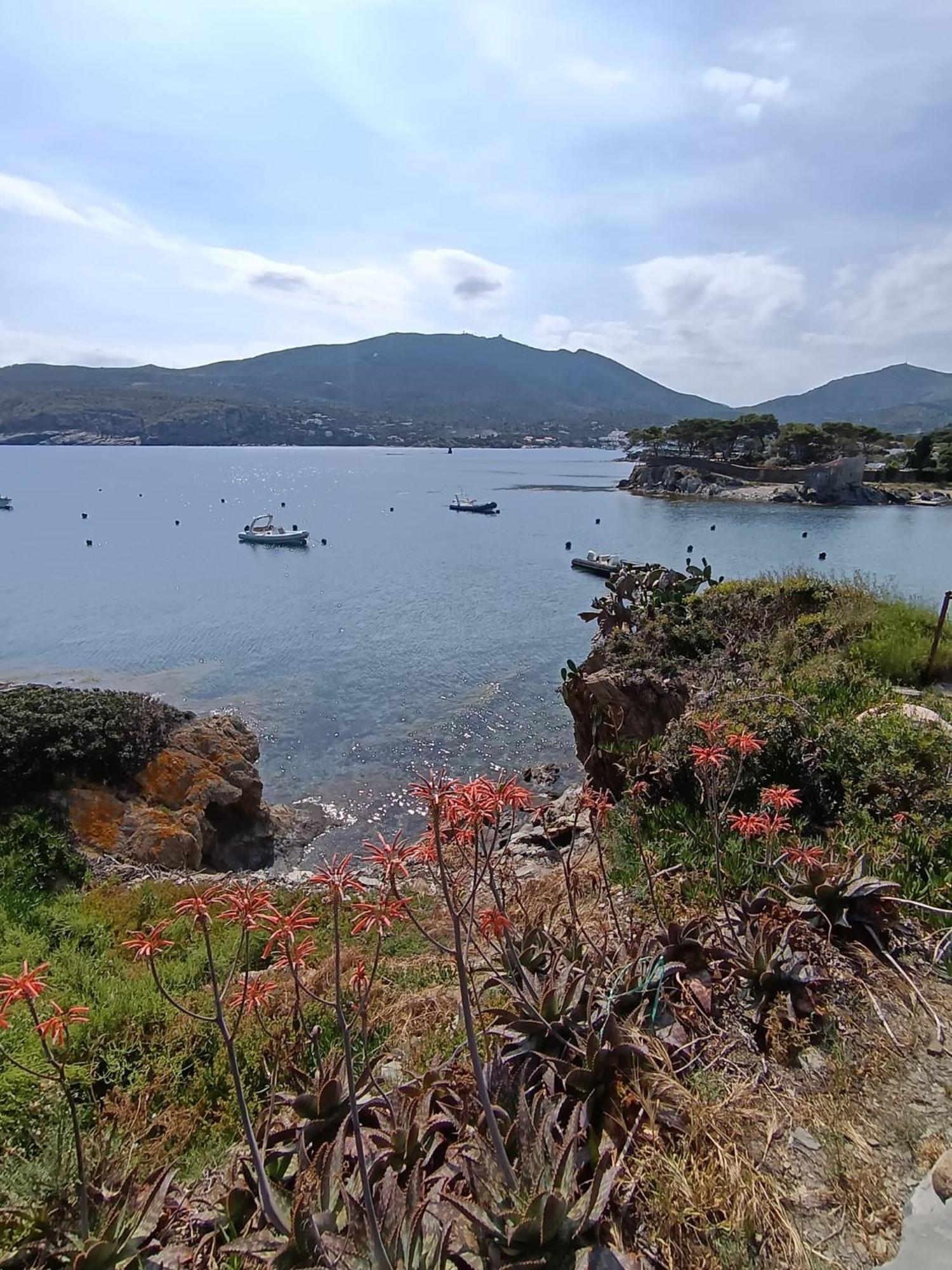 Isla Privada En Cadaques De Ensueno Con 11 Habitaciones Dobles Con Bano Privado Y Piscina Exteriör bild