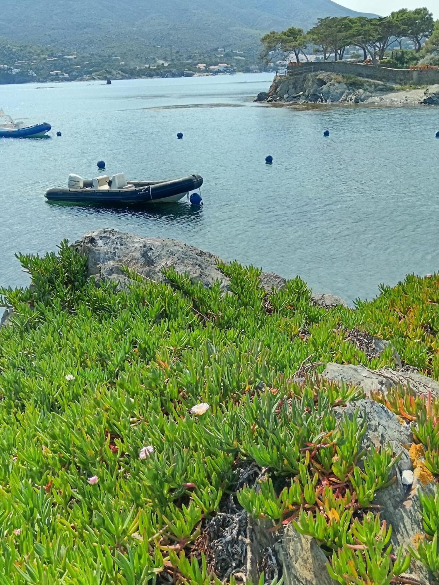 Isla Privada En Cadaques De Ensueno Con 11 Habitaciones Dobles Con Bano Privado Y Piscina Exteriör bild