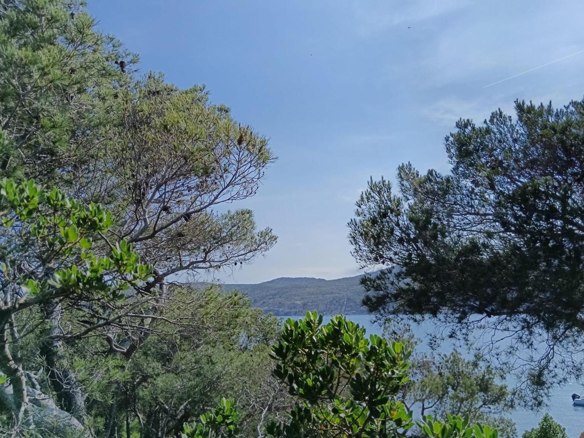 Isla Privada En Cadaques De Ensueno Con 11 Habitaciones Dobles Con Bano Privado Y Piscina Exteriör bild